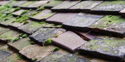 Upper Cadsden roof repair costs